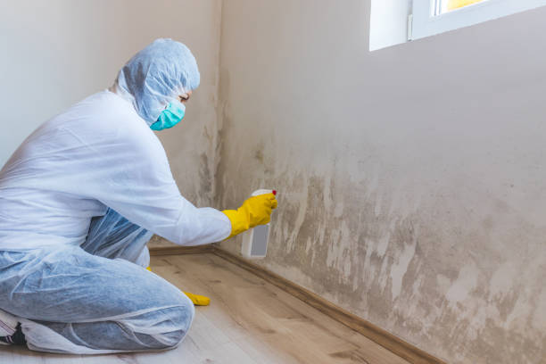 Commercial Mold Remediation assessment for commercial property in Waynesboro